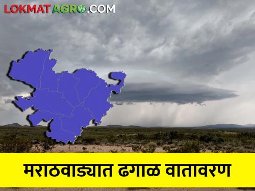 Cloudy, dry weather expected in Marathwada for the next five days | मराठवाड्यात पुढील पाच दिवस ढगाळ, कोरड्या हवामानाची शक्यता