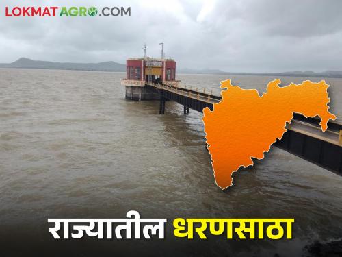 Maharashtra Dam Water: There is only so much water left in the small and big dams of the state, know the dam storage in your region | Maharashtra Dam Water: राज्यातील लहान,मोठ्या धरणात उरलंय आता एवढंच पाणी, जाणून घ्या विभागनिहाय धरणसाठा