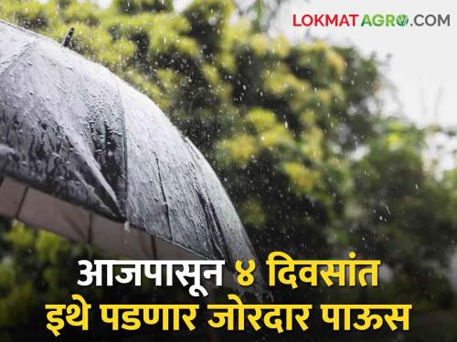 Maharashtra Rain Updates Heavy rain will fall in these parts of the state in the next four days | Maharashtra Rain Updates: येणाऱ्या चार दिवसांत राज्यातील 'या' भागांत पडणार मुसळधार पाऊस