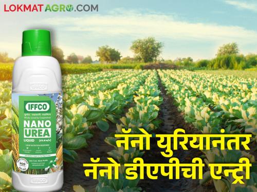 After Nano Urea, now Nano DAP is a big announcement for farmers in the entry budget | नॅनो युरियानंतर आता नॅनो डीएपीची एन्ट्री, बजेटमध्ये शेतकऱ्यांसाठी मोठी घोषणा 