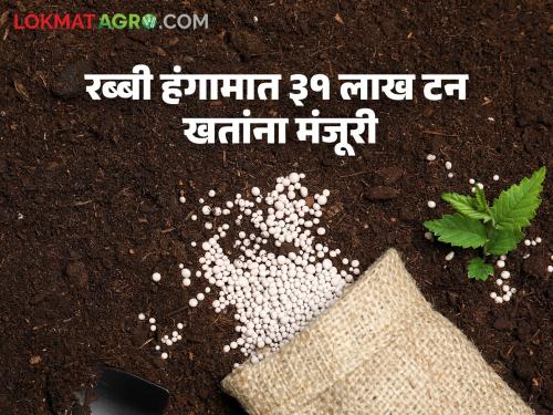 Fertilizers How much fertilizer is available for Rabi season Which fertilizer will fall less | Fertilizers : रब्बी हंगामासाठी किती खतांची उपलब्धता? कोणते खत पडणार कमी?