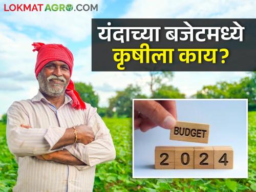 Interim Budget 2024: Special focus on farmers in the interim budget, what about the agriculture sector this year? | Interim Budget 2024: अंतरिम अर्थसंकल्पात शेतकऱ्यांवर राहणार विशेष लक्ष, यंदा कृषी क्षेत्राला काय?