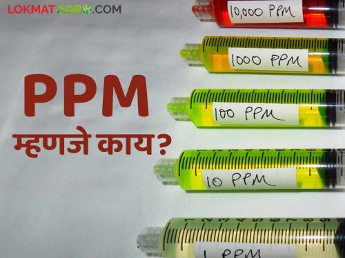 PPM Solution : What is PPM How PPM solution made | PPM Solution : PPM म्हणजे काय? पीपीएमचे द्रावण कसे बनवले जाते?