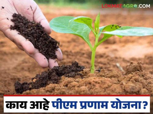 What is the PM Pranam scheme implemented to reduce the use of chemical fertilizers? | PM PRANAM : रासायनिक खतांचा वापर कमी करण्यासाठी राबवलेली पीएम प्रणाम योजना काय आहे?