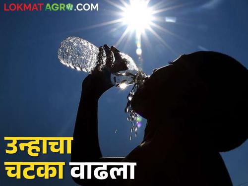 43.2 Celsius in Jalgaon, 43.2 degrees in Nagpur, Akola, how is the temperature in your city? | जळगावात ४३.२ सेल्सियस, नागपूर, अकोलाही चाळीशीपार, तुमच्या शहरात तापमान कसे?