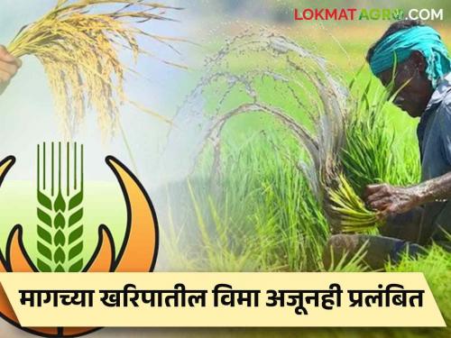 Crop Insurance Farmers still don't get the amount of crop insurance from the previous harvest! 3 thousand crore pending | Crop Insurance : मागच्या खरिपातील पीकविम्याची रक्कम अजूनही शेतकऱ्यांना मिळेना! ३ हजार कोटी प्रलंबित