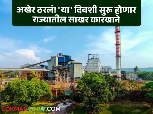 Sugar Factory: On this day, sugar factories across the state will burn! The decision was made in the 'Committee of Ministers' | Sugar Factory : 'या' दिवशी पेटणार राज्यभरातील साखर कारखान्यांचे धुराडे! 'मंत्रीसमिती'मध्ये झाला निर्णय