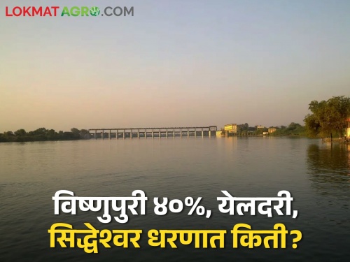 Dam storage: Now only 40 percent water storage in Vishnupuri Dam, what is the situation in Yeldari, Siddheshwar? | Dam storage: विष्णुपूरी धरणात आता केवळ ४० टक्के पाणीसाठा, येलदरी, सिद्धेश्वरमध्ये काय स्थिती?