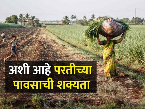 How likely are the rains to return? What is the weather department saying? | परतीच्या पावसाची शक्यता कशी आहे? हवामान विभाग काय सांगतोय?