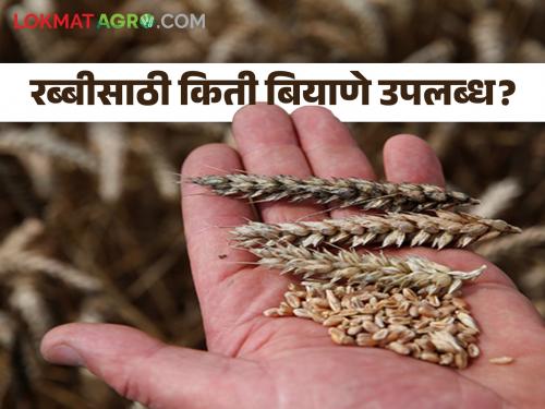 Rabi Season Will you sow seeds in Rabi season? How much availability of which seeds? | Rabi Season : रब्बी हंगामात बियाणे पुरणार का? कोणत्या बियाण्यांची किती उपलब्धता?