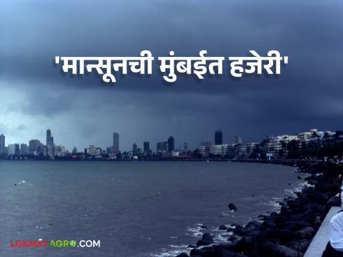 Maharashtra Weather : Monsoon rain has reached Mumbai! What is the situation in the state? | Maharashtra Weather : मुंबईपर्यंत पोहोचला मान्सूनचा पाऊस! राज्यातील स्थिती काय?