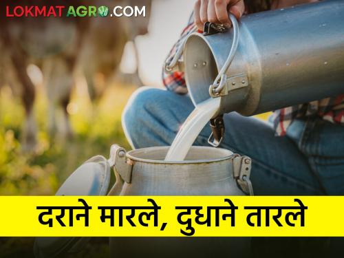 Killed by price of farm goods, saved by milk, milk business in trouble due to scarcity of fodder | शेतमालांच्या भावाने मारले, दुधाने तारले, चारा टंचाईमुळे दुध व्यवसाय अडचणीत