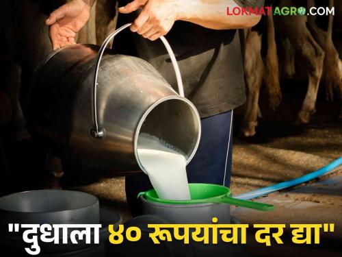 Milk rate maharashtra Protest akole ahmednagar price movement flared up government | Milk Subsidy : दुधाला ५ रुपयांचेच अनुदान मिळणार; सरकार ठाम!