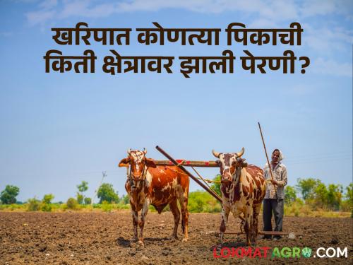 Crop Cultivation: In this year's kharif, which crop has been sown on how many areas? | Crop Cultivation : यंदाच्या खरिपात आत्तापर्यंत कोणत्या पिकाची किती क्षेत्रावर झाली पेरणी?