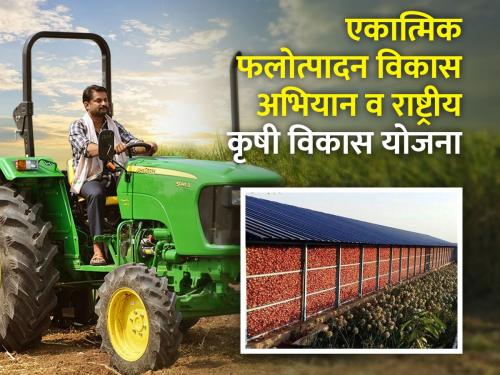 Did you apply for tractor, greenhouse, kandachali? | ट्रॅक्टर, हरितगृह, कांदाचाळीसाठी अर्ज केला का?