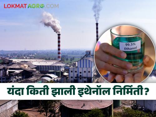 Government restrictions ethanol production sugarcane factory maharashtra sugar industries | सरकारच्या निर्बंधानंतर इथेनॉल उत्पादन घटले! तरीही 'एवढे' झाले उत्पादन