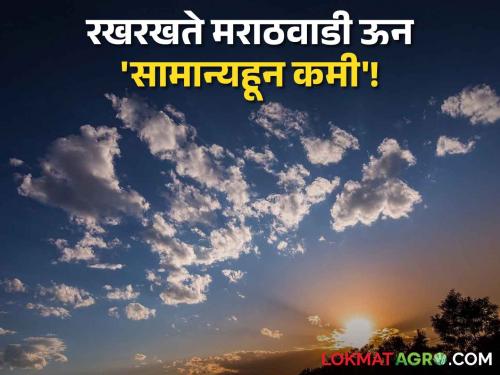 Temperature Maharashtra: 'Lower than normal' in Marathwada! There will be a change in temperature in the state in the next 4 days | मराठवाड्यात ‘सामान्यहून कमी’! राज्यात पुढील ४ दिवसात तापमानात होणार बदल