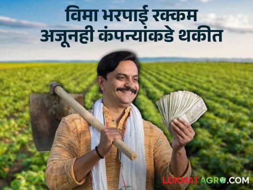 Crop Insurance in kharip season 2023-24 compensation amount still exhausted with insurance companies | धक्कादायक! मागच्या खरिपातील पीक नुकसान भरपाईची रक्कम विमा कंपन्यांकडे अजूनही 'थकीत'