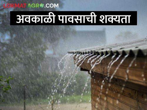 Chance of rain in the state for the next four days from today - Meteorological Department | राज्यात आजपासून पुढील चार दिवस पावसाची शक्यता- हवामान विभाग