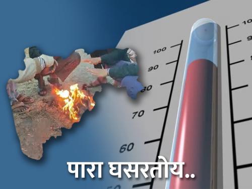 Cold! The favorable environment for thuri on the dam will benefit the Rabi season. | थंडीची चाहूल! बांधावरील तूरीला पोषक वातावरण, रब्बी हंगामाला होणार फायदा..