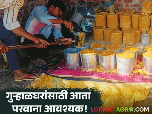 Sugarcane: Now even sugarcane growers will have to obtain a license; all information about crushing will have to be provided | Sugarcane : आता गुऱ्हाळांनाही घ्यावा लागणार परवाना; द्यावी लागणार गाळपाची सर्व माहिती