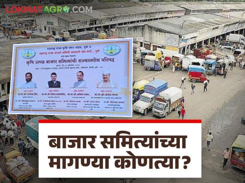 Market Yard Private markets, free shopping and more! What are the demands of market committees? | Market Yard : खासगी बाजार, नाफेड खरेदी अन् बरंच काही! बाजार समित्यांच्या मागण्या कोणत्या?