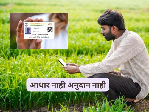 Latest News Bank Seeding no link to Aadhaar bank, you will not get goverment scheme subsidy | Aadhar Link Bank : आधार कार्ड बँकेला लिंक नाही, तर योजनेचे अनुदान मिळणार नाही, वाचा सविस्तर 