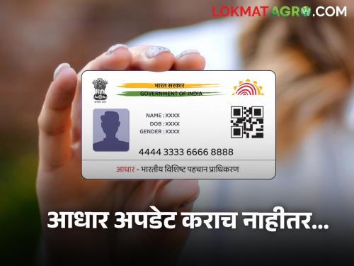 Aadhar Card Update : Why and how to update Aadhaar Card which is 10 years old? | Aadhar Card Update : दहा वर्षांपूर्वी काढलेले आधार कार्ड अपडेट का आणि कसे करावे?