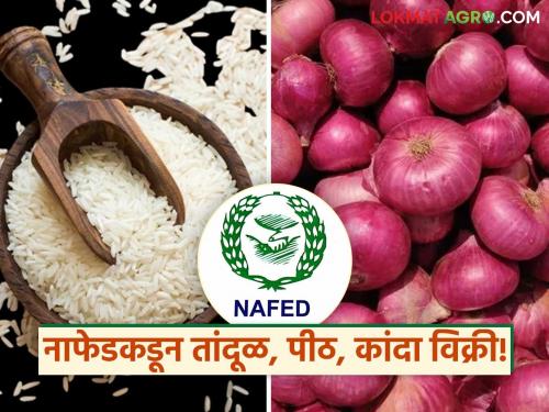Green flag for vehicles to sell NAFED rice, flour and onion through cooperative consumer warehouse | सहकारी ग्राहक भंडाराच्या माध्यमातून नाफेडच्या तांदूळ, पीठ आणि कांदा विक्रीसाठी वाहनांना हिरवा झेंडा 