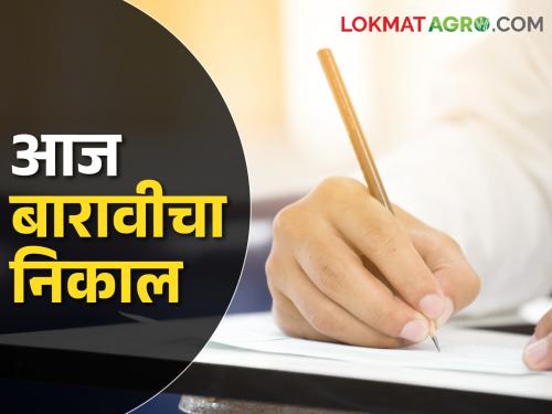 HSC Exam Result 2024: Where and How to Check Class XII Result Today? find out | HSC Exam Result 2024: बारावीचा आज निकाल, कुठे व कसा पहाल? जाणून घ्या