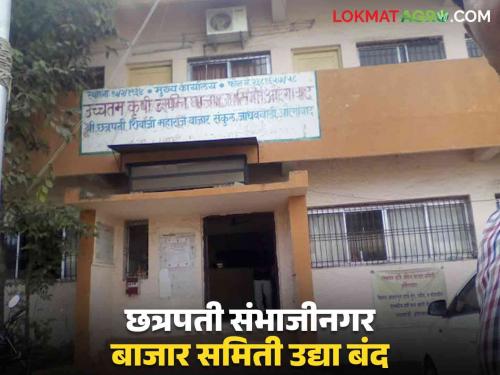 Maharashtra Assembly Election 2024: 8 Market Yard in Chhatrapati Sambhajinagar district, 14 weekly markets will remain closed on Wednesday; The turnover of 25 crores of grain will be stopped | Maharashtra Assembly Election 2024: छत्रपती संभाजीनगर जिल्ह्यातील ८ कृउबा, १४ आठवडी बाजार बुधवारी राहणार बंद; धान्याची २५ कोटींची उलाढाल राहणार ठप्प