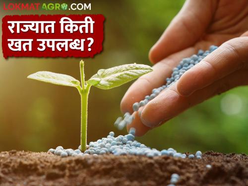 How much chemical fertilizer is available for Kharipa crops in the state? How is the planning? | राज्यात खरिपाच्या पिकांसाठी किती रासायनिक खत उपलब्ध? कसे आहे नियोजन?