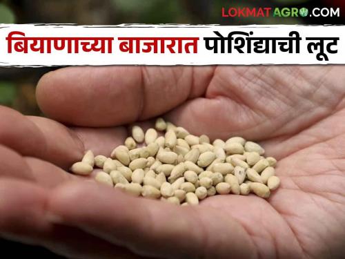 Cotton seed shortage, Queues for farmers for buying BT cotton seeds in Maharashtra | मायबाप सरकार, हवं ते बियाणंच मिळंना, पेरावं काय अन जगावं कसं?