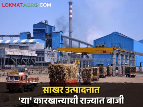 Sugarcane and sugar mill season of this factory in the state is over | गाळप हंगाम संपला! राज्यात 'या' कारखान्याची ऊस गाळपात अन् साखर उत्पादनात बाजी