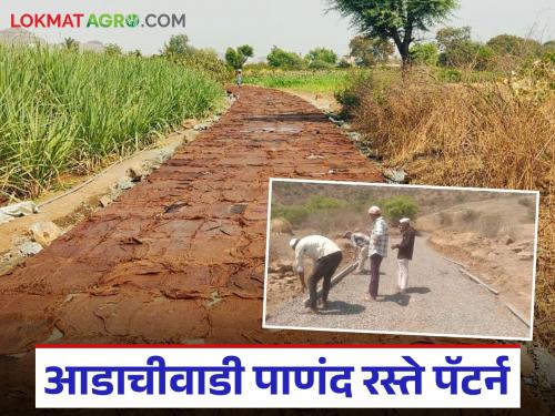 The village roads have numbers, names of great men and trees on both sides; Read Adachiwadi Panand road pattern | गावातील रस्त्यांना नंबर तसेच महापुरुषांची नावे व दुतर्फा झाडे; वाचा आडाचीवाडी पाणंद रस्ते पॅटर्न