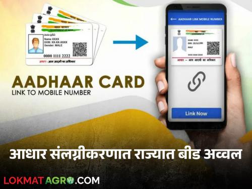 Aadhaar Seeding : Financial assistance to farmers; Beed tops in state in Aadhaar affiliation Read more | Aadhaar Seeding : शेतकऱ्यांना मिळणार अर्थसाह्य; आधार संलग्नीकरणात राज्यात बीड अव्वल वाचा सविस्तर