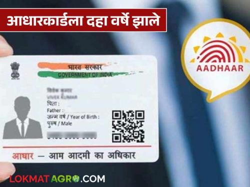 Latest News Aadhaar card ten years old Update it now Otherwise facility stops see details | तुमचं आधारकार्ड दहा वर्ष जुनं आहे? आताच अपडेट करा, अन्यथा 'या' सुविधा बंद होतील! 