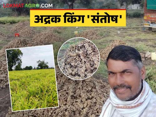 Farmer Successful Story: Read the success story of Nagre, who gave traditional farming a modern twist to ginger | Farmer Sucessful Story : पारंपारिक शेतीला अत्याधुनिक अद्रकाची फोडणी देणारे नागरे यांची यशकथा वाचा सविस्तर