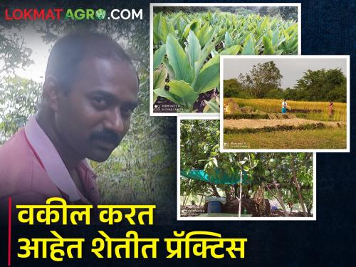 Adv. Along with advocacy, Sawant maintained his interest in agriculture | अॅड. सावंत यांनी वकिलीसोबतच जपली शेतीची आवड