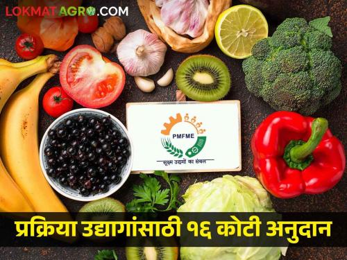 16 crore subsidy for processing industries, 46 crore sanctioned to 389 industries | प्रक्रिया उद्योगांसाठी १६ कोटी अनुदान, ३८९ उद्योगांना ४६ कोटी मंजूर