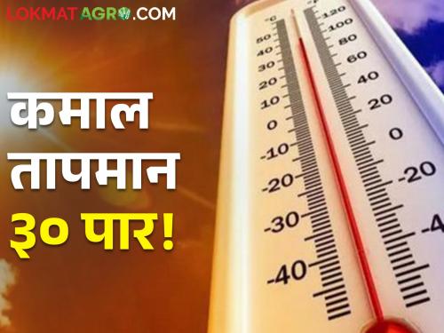 Temperature Today: Heatwaves increased in the state, the temperature was like this today.. | Temperature Today: राज्यात उन्हाच्या झळा वाढल्या, आज असे होते तापमान..