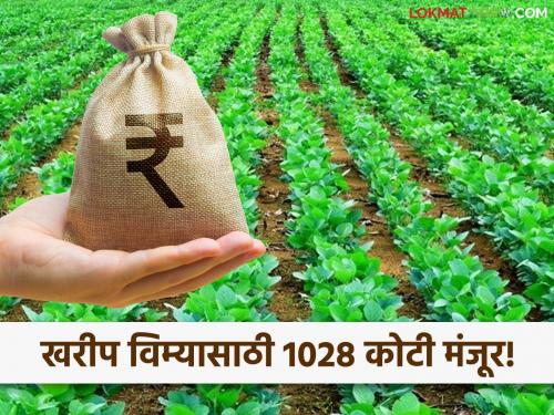 Farmers will get pending crop insurance compensation for Kharif 2024! Rs 1028 crore approved | Crop Insurance : शेतकऱ्यांना मिळणार 2024च्या खरिपातील प्रलंबित विमा भरपाई! 1028 कोटी मंजूर