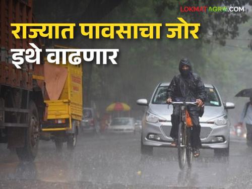Maharashtra weather update: Heavy rain warning in Satara along with Pune, where is the heavy rain in the rest of the state? | Maharashtra weather Update: पुण्यासह, साताऱ्यात आज जोरदार पावसाचा इशारा, उर्वरित राज्यात कुठे मुसळधारा?