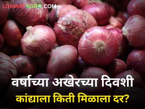 maharashtra agriculture farmer onion producer farmer market yard price year end | वर्षाअखेर कांदा दराची काय आहे स्थिती?