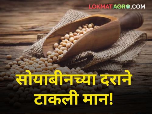 maharashtra agriculture farmer market yard Soybean prices below 4 thousand | सोयाबीनचे दर ४ हजारांच्या खाली