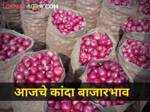 What is the price of onion in your city today? | तुमच्या शहरातील कांद्याला आज काय भाव मिळाला? 