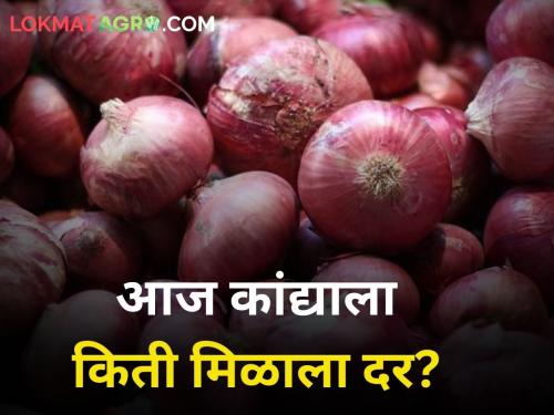 maharashtra agriculture farmer today onion rates market yard | आजची कांदा बाजारभावाची काय आहे परिस्थिती?