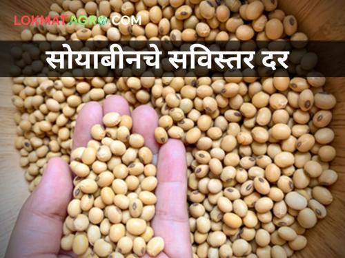 maharashtra agriculture farmer Decrease price soybeans Know today market price | सोयाबीनच्या दरात घट! जाणून घ्या आजचे बाजारभाव