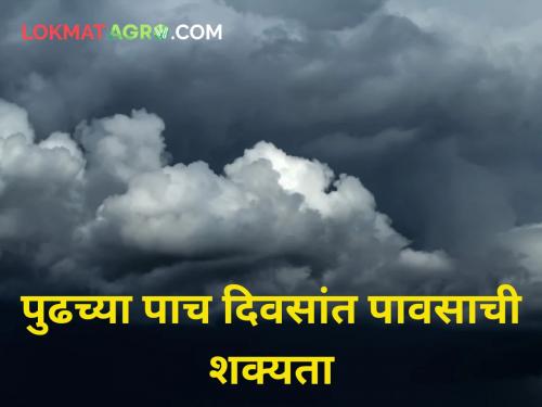 It will rain in the next five days imd pune Meteorologist manikrao khule weather hailstrome | पुढच्या पाच दिवसांत 'या' भागात अवकाळी पावसाची शक्यता