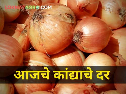 maharashtra agriculture farmer onion market yard rates today | आजचे कांद्याचे बाजारभाव